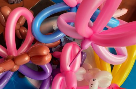 Home 3 Ballonmodellage